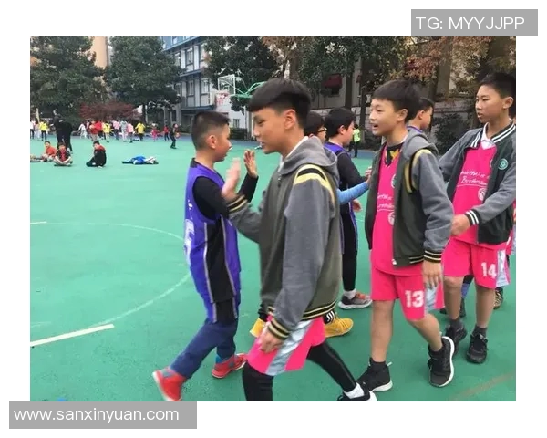 杭州网球队实力飙升创历史新高引发关注与期待